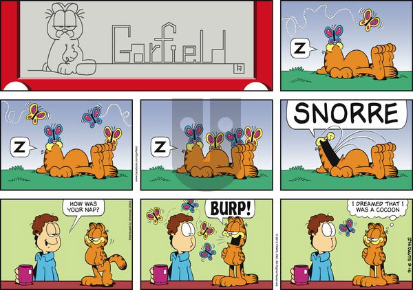 Garfield on Sunday September 16, 2012 Comic Strip