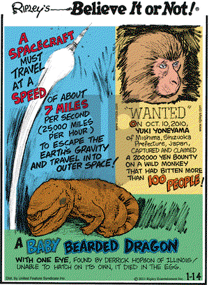 Ripley's Believe It or Not on Friday January 14, 2011 Comic Strip