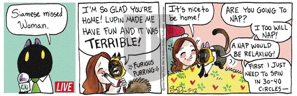 Breaking Cat News - Thursday May 12, 2022 Comic Strip