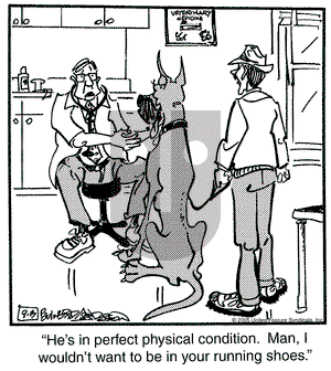 Marmaduke on Tuesday September 13, 2005 Comic Strip