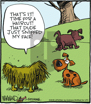 Reality Check on Monday November 4, 2019 Comic Strip