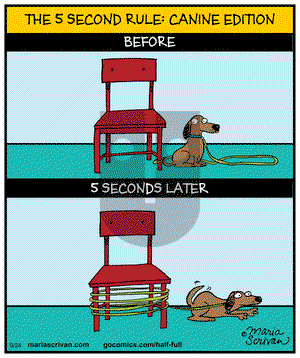 Half Full on Wednesday September 24, 2014 Comic Strip