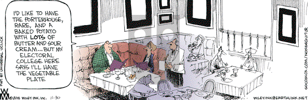 Non Sequitur - Wednesday November 30, 2016 Comic Strip
