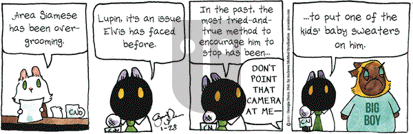 Breaking Cat News on Thursday January 28, 2021 Comic Strip