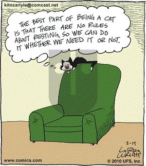 Kit 'N' Carlyle on Friday February 19, 2010 Comic Strip