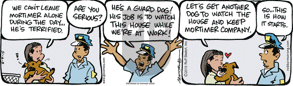 JumpStart on Tuesday August 4, 2015 Comic Strip