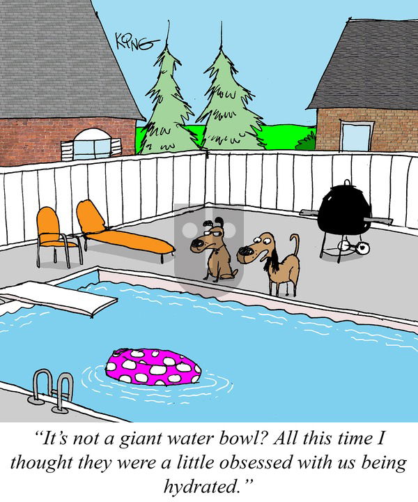 Jerry King Comics on Sunday April 13, 2025 Comic Strip