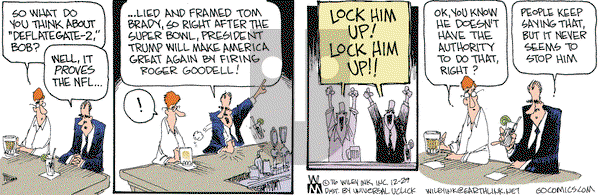 Non Sequitur on Thursday December 29, 2016 Comic Strip