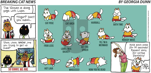 Breaking Cat News on Sunday June 9, 2019 Comic Strip