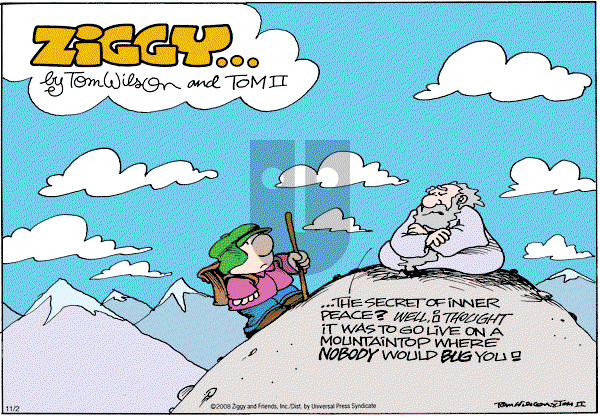 Ziggy - Sunday November 2, 2008 Comic Strip