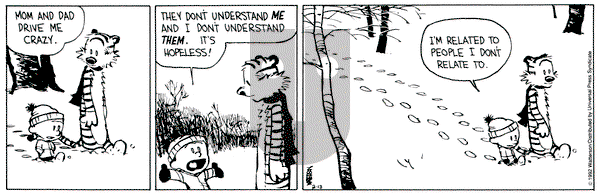 Calvin and Hobbes on Thursday February 13, 1992 Comic Strip