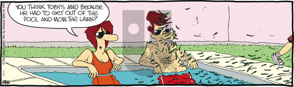 The Buckets on Tuesday July 7, 2015 Comic Strip