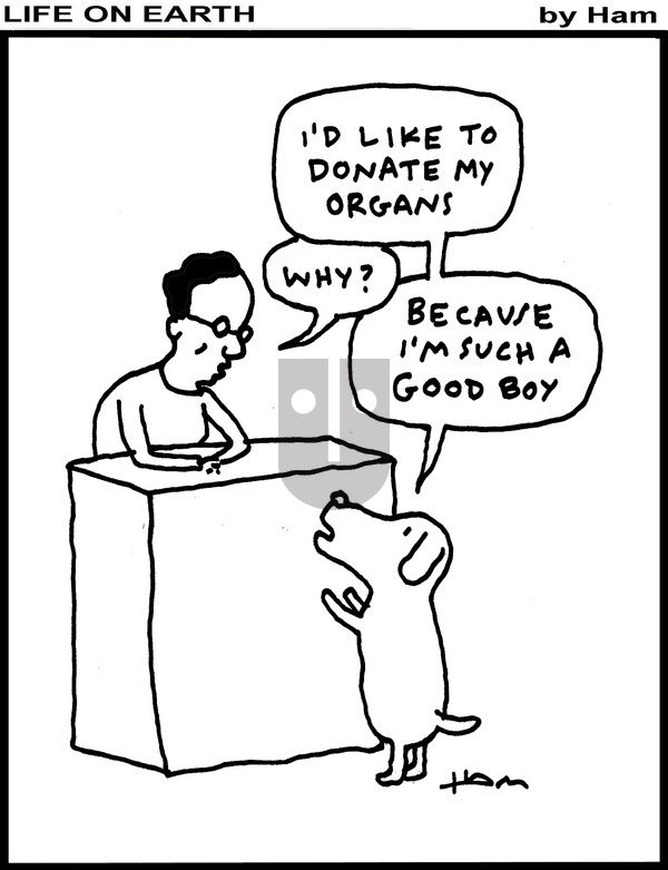 Life on Earth on Monday March 31, 2025 Comic Strip