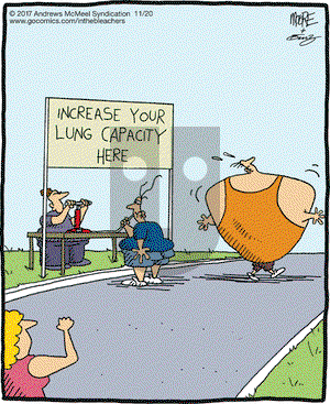 In the Bleachers on Monday November 20, 2017 Comic Strip