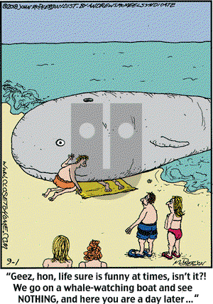 Close to Home on Saturday September 1, 2018 Comic Strip