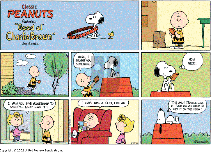 Peanuts - Sunday February 10, 2002 Comic Strip
