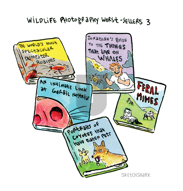 Sketchshark Comics on Monday November 2, 2020 Comic Strip