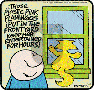 Ziggy on Friday January 29, 2016 Comic Strip