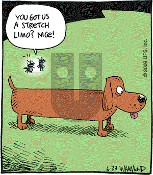 Reality Check on Tuesday June 23, 2009 Comic Strip