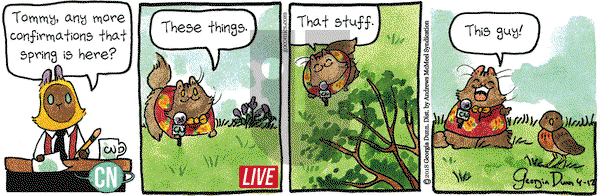 Breaking Cat News on Thursday April 12, 2018 Comic Strip