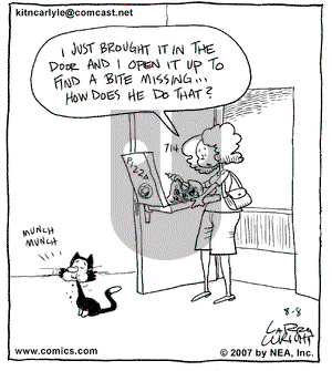 Kit 'N' Carlyle on Wednesday August 8, 2007 Comic Strip