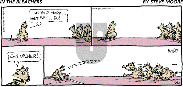 In the Bleachers on Sunday March 23, 2008 Comic Strip