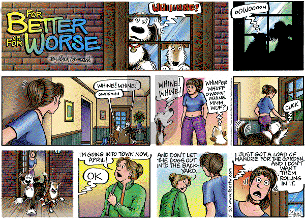 For Better or For Worse - Sunday May 30, 2004 Comic Strip