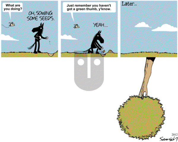 Dark Side of the Horse on Wednesday March 18, 2015 Comic Strip