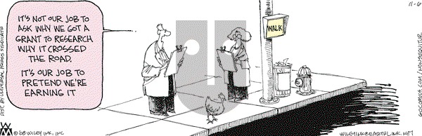 Non Sequitur on Thursday November 6, 2008 Comic Strip
