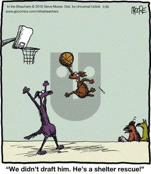 In the Bleachers on Saturday January 30, 2016 Comic Strip