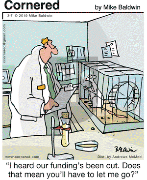 Cornered on Thursday March 7, 2019 Comic Strip