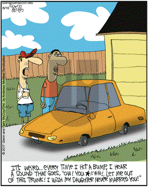 The Flying McCoys on Saturday June 10, 2017 Comic Strip