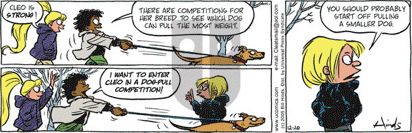 Cleats on Tuesday December 20, 2005 Comic Strip