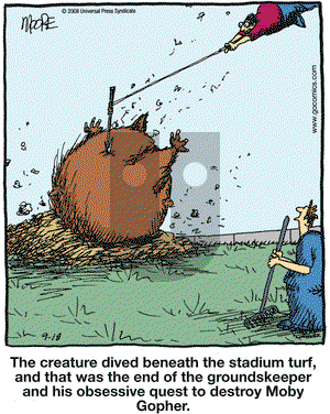 In the Bleachers on Thursday September 18, 2008 Comic Strip