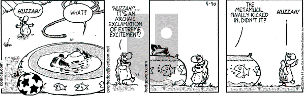 Over the Hedge on Monday May 30, 2005 Comic Strip