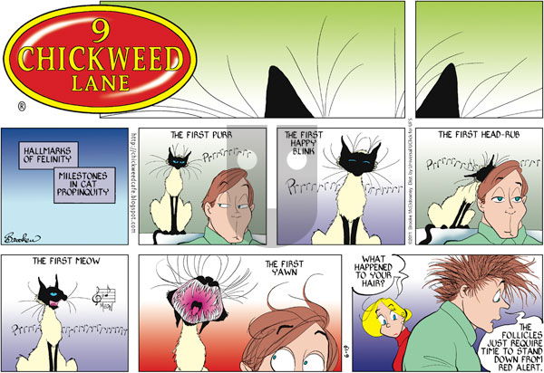 9 Chickweed Lane on Sunday June 19, 2011 Comic Strip