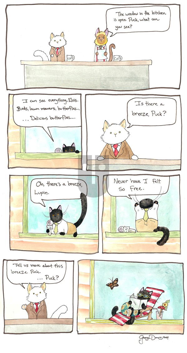 Breaking Cat News on Sunday September 18, 2016 Comic Strip
