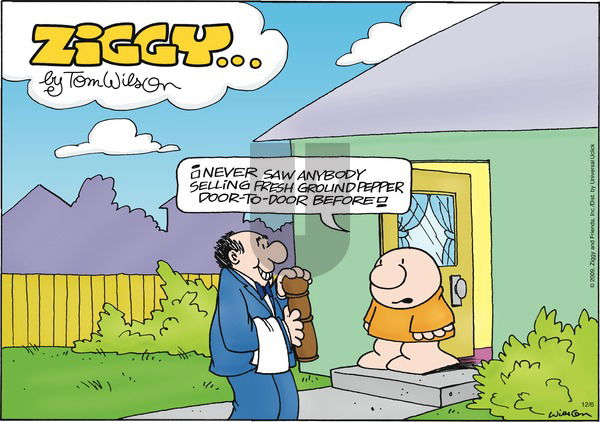 Ziggy on Sunday December 6, 2009 Comic Strip