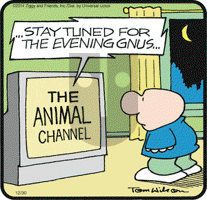 Ziggy on Tuesday December 30, 2014 Comic Strip
