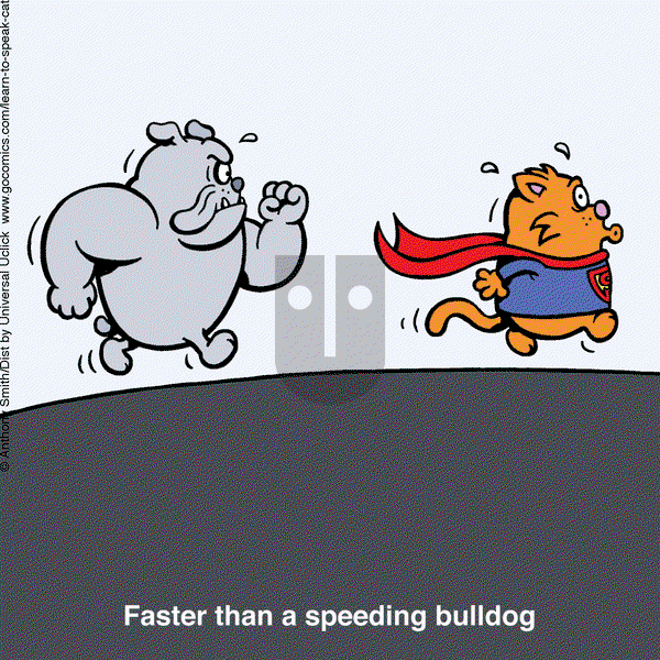 Learn to Speak Cat on Wednesday February 5, 2025 Comic Strip