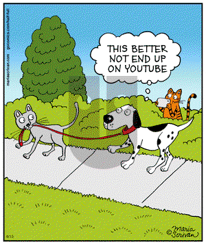 Half Full on Friday June 13, 2014 Comic Strip