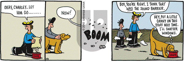Overboard on Saturday May 8, 2010 Comic Strip