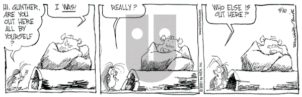 The Grizzwells on Monday April 30, 2001 Comic Strip