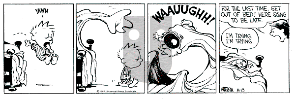 Calvin and Hobbes - Saturday August 8, 1987 Comic Strip