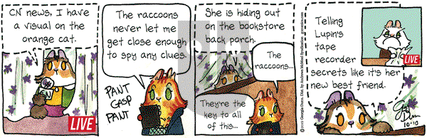 Breaking Cat News on Thursday October 10, 2019 Comic Strip