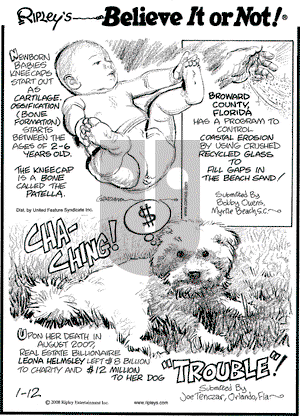 Ripley's Believe It or Not on Saturday January 12, 2008 Comic Strip