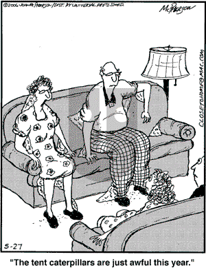 Close to Home on Saturday May 27, 2006 Comic Strip