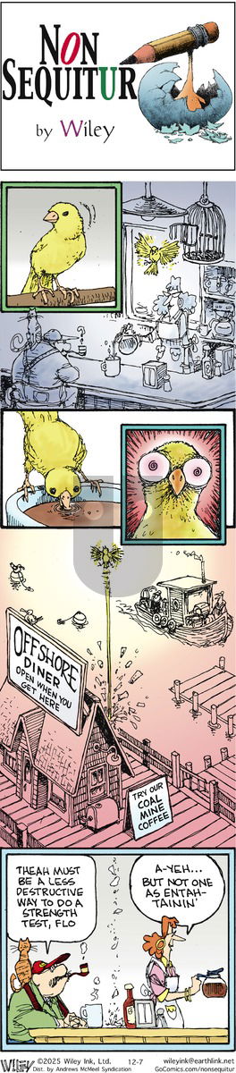 Non Sequitur on Sunday December 7, 2025 Comic Strip