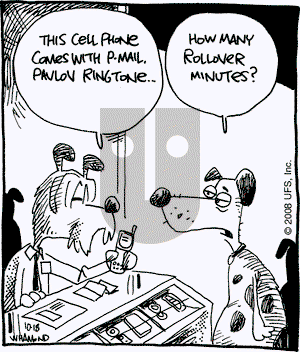 Reality Check on Saturday October 18, 2008 Comic Strip
