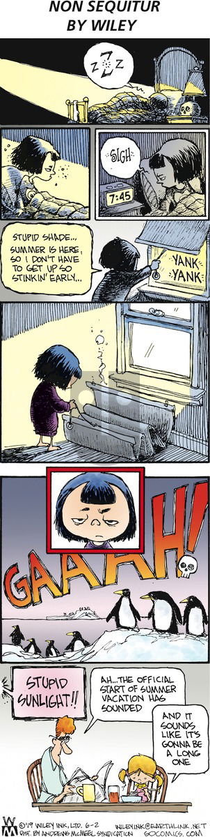 Non Sequitur on Sunday June 2, 2019 Comic Strip
